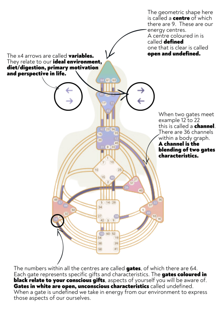 Graphic image of a Bodygraph from Human Design with arrows and annotated text pointing to features within it.